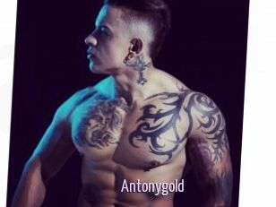 Antonygold