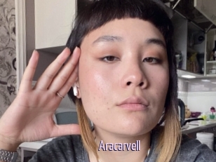 Aracarvell