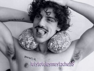 Aristotelesmustache18