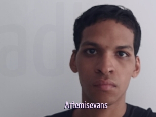 Artemisevans