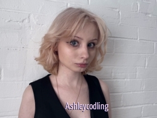 Ashleycodling