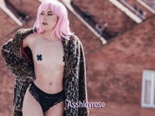 Asshleyrose