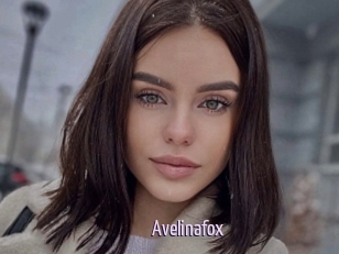 Avelinafox