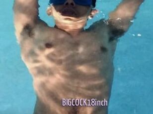 BIGCOCK18inch