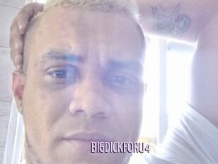 BIGDICKFORU4