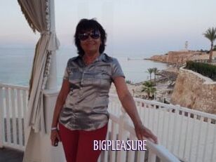 BIGPLEASURE