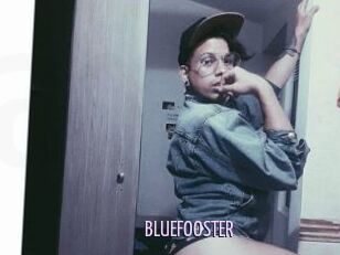 BLUEFOOSTER