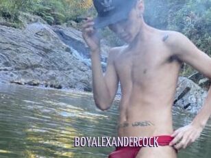 BOYALEXANDERCOCK