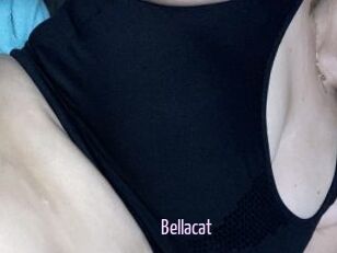 Bella_cat