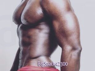 BigSnack42300