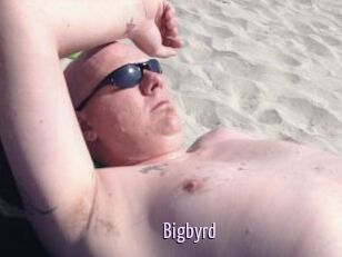 Bigbyrd
