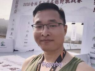 Bigguyboy