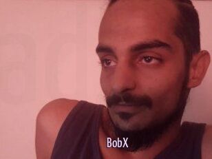 BobX