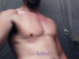 Bobbert