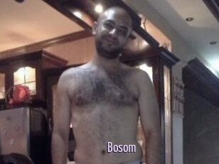 Bosom