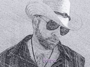 Bumper