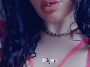 Badgarce