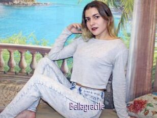Bellagracile