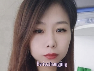 Bericezhangjing