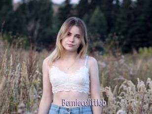 Berniecelittleb