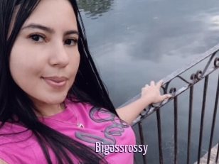Bigassrossy