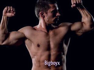 Bigboyx