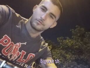 Bigcock_sh