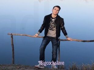 Bigcockslave
