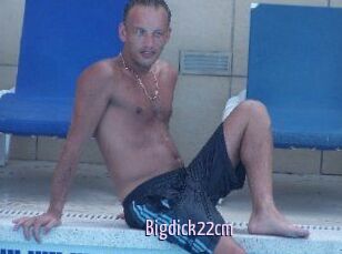 Bigdick22cm