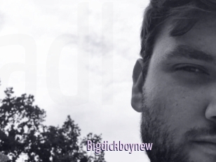 Bigdickboynew