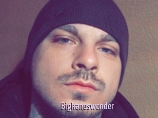 Bigkaneswonder