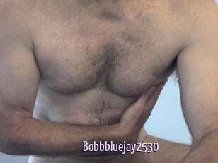 Bobbbluejay2530