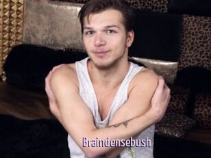 Braindensebush