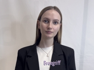 Breegriff