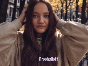 Breehallett