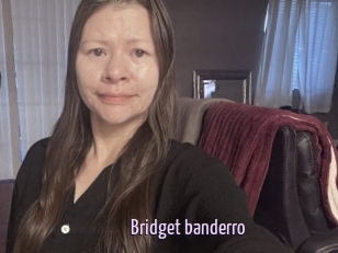 Bridget_banderro