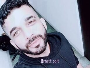 Brrett_colt