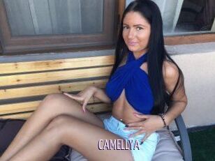 CAMELLYA_
