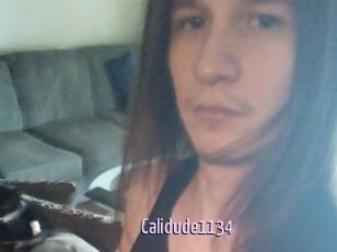 Calidude1134