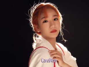 CarelAny