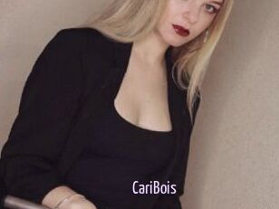 CariBois