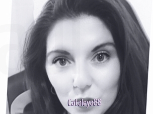 Cataleya88