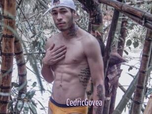 CedricGovea