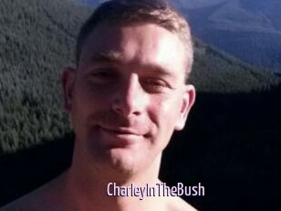 CharleyInTheBush