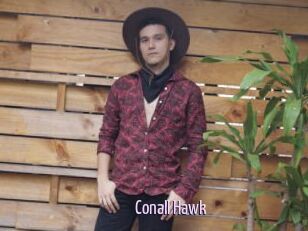 Conall_Hawk