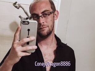 ConejoDragon8886