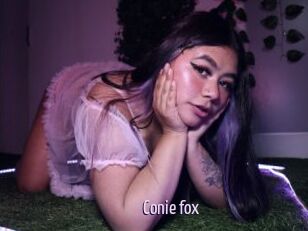 Conie_fox
