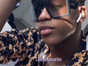 Callmekanaries