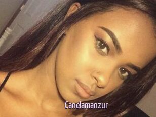 Canelamanzur