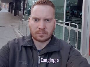 Cangingie